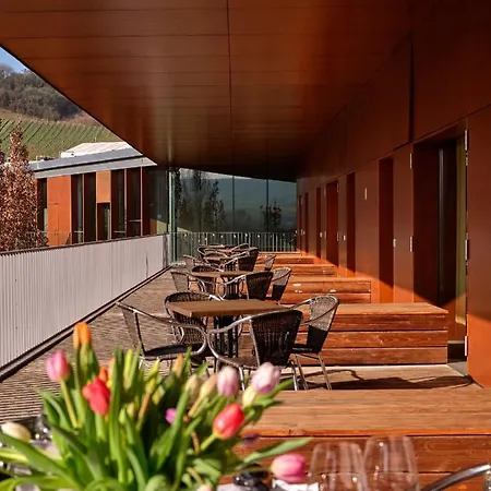 אכסניה Youth Schengen /